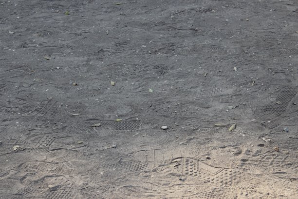 在灰色路径上打印图片下载