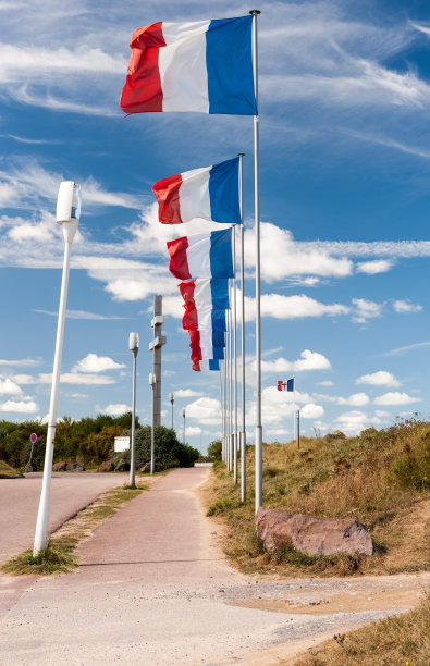 海滩上飘扬着法国国旗图片下载