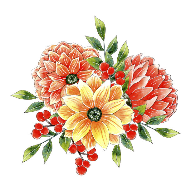 水彩花，秋天秋天花束。图片下载