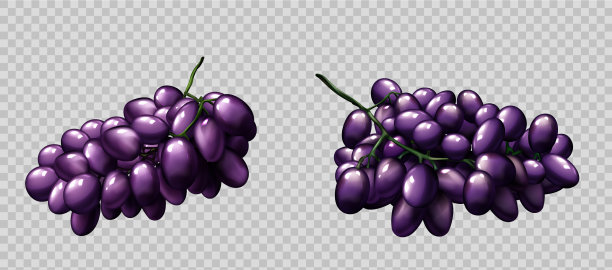 逼真的葡萄串成熟的紫色浆果设置图片下载