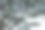绿色的树叶和树枝孤立在白色的背景。图片下载