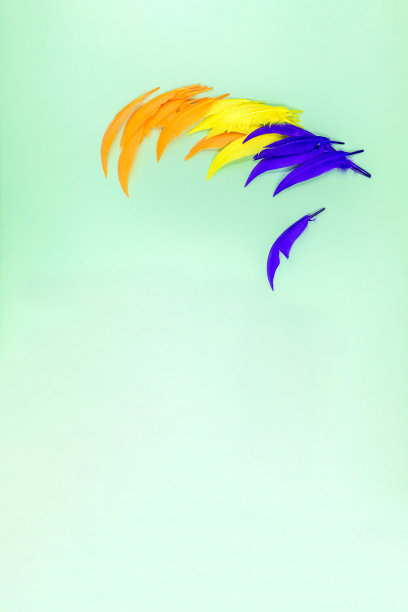 蓝色，橙色和黄色羽毛上的蓝绿色背景。图片下载