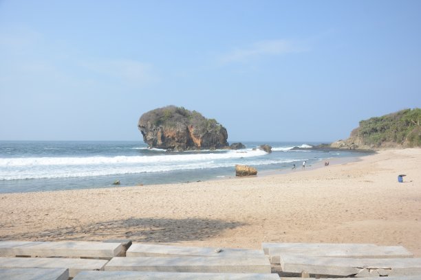 春树海滩图片下载