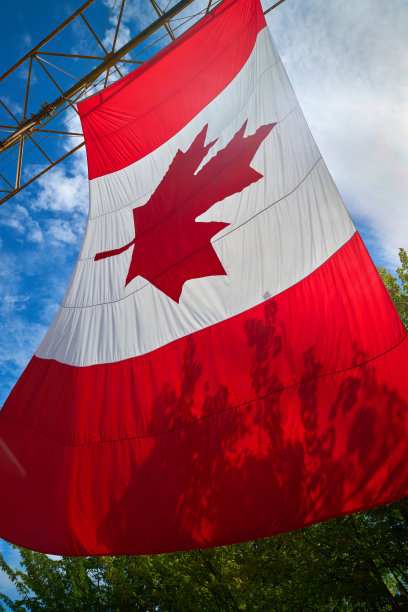 太阳下的加拿大国旗图片下载