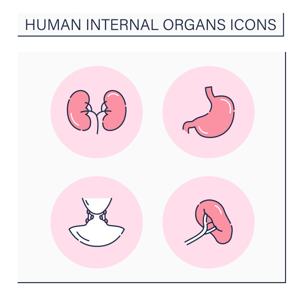 人体内部器官颜色图标设置图片下载