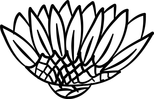 手绘涂鸦花黑白线图片下载
