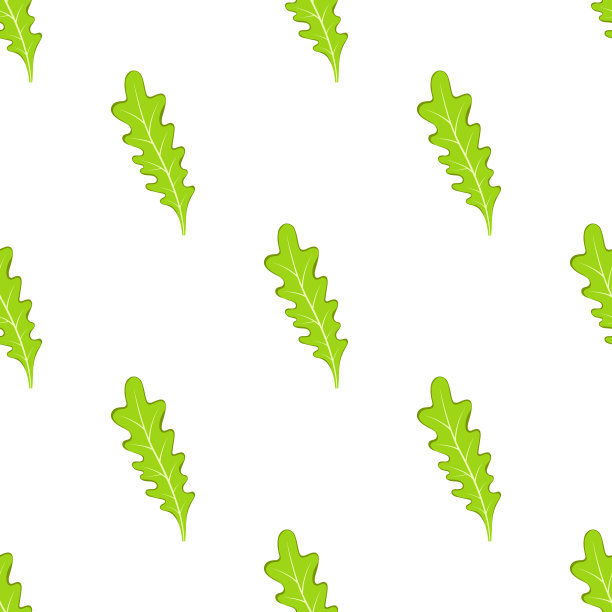 无缝的图案与叶rucola在白色图片下载