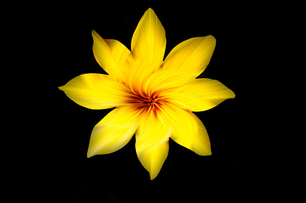 数字图像漩涡12图片下载