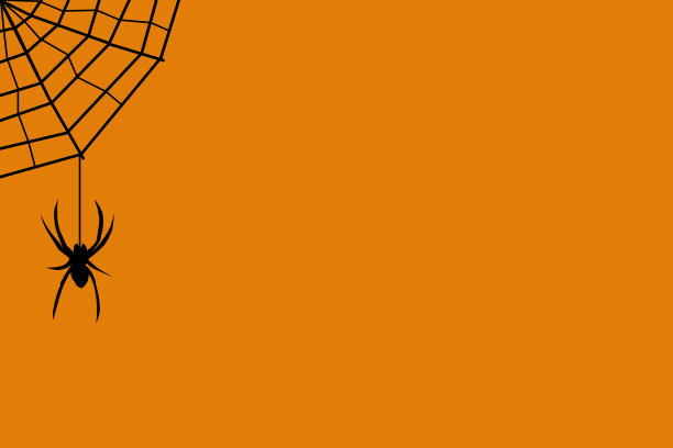 角落里挂着网的蜘蛛图片下载