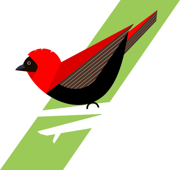 树枝上的红色鸟图片下载