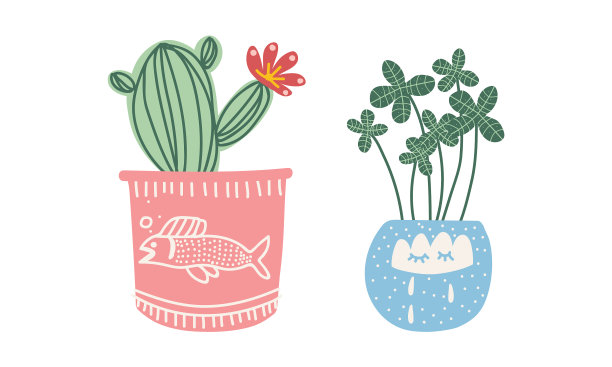 在陶瓷花盆中种植的装饰性花卉和植物图片下载