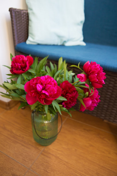 一束漂亮的小馅饼图片下载