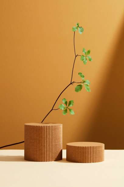 棕色抽象产品展示站在积雪草叶棕色背景上图片下载