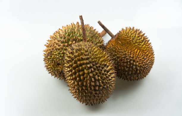 榴莲被称为“东南亚水果之王”。白色背景上的榴莲。图片下载