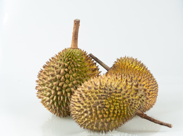榴莲被称为“东南亚水果之王”。白色背景上的榴莲。图片下载