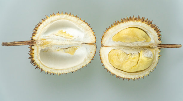 榴莲被称为“东南亚水果之王”。白色背景上的榴莲。图片下载