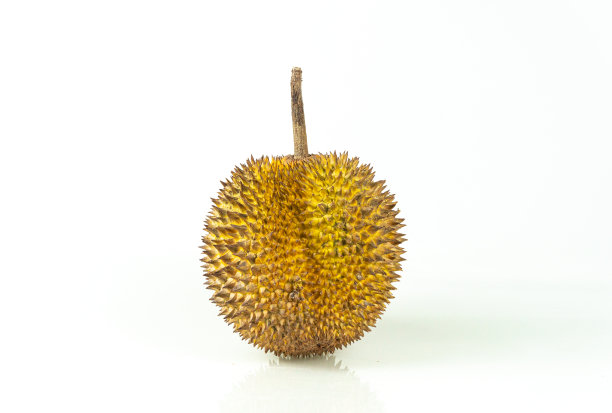 榴莲被称为“东南亚水果之王”。白色背景上的榴莲。图片下载