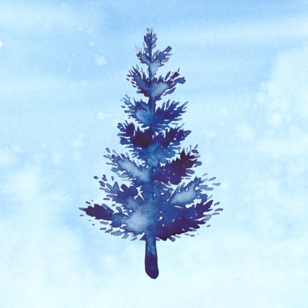 圣诞节水彩蓝树设计背景在水彩风格的圣诞节松树和雪插图的圣诞节新年。蓝色水彩画底色。刷漆圣诞冷杉图片下载