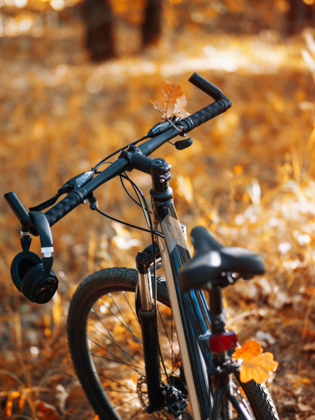 秋天公园里的自行车特写镜头。听音乐，在森林中骑行，这就是概念图片下载