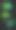 时髦的夏季热带树叶图片下载