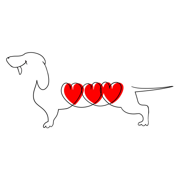 达克斯犬呈直线状图片下载