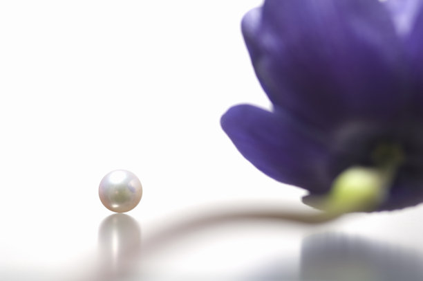 珍珠和花瓣图片下载