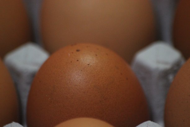 近距离视野与选择性焦点在新鲜农场鸡蛋在蛋盒图片下载