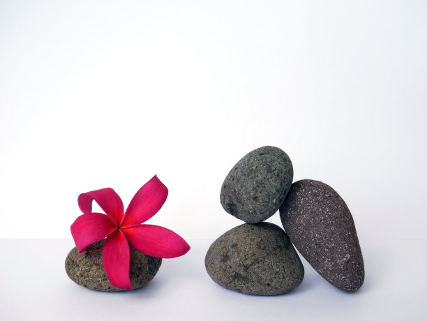 温泉放松美丽的热带花卉壁纸或背景图片下载