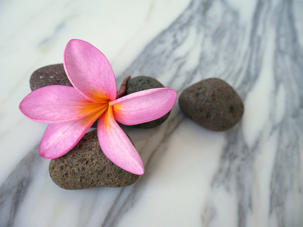 温泉放松美丽的热带花卉壁纸或背景图片下载