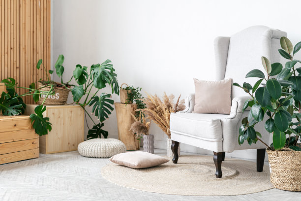 室内空墙，公寓设计。图片下载