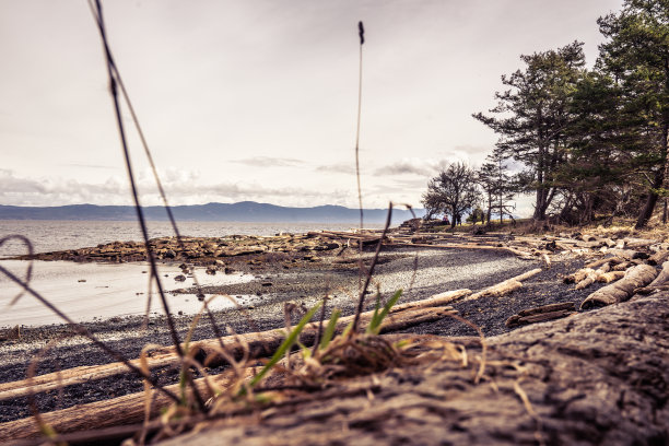 霍恩比岛C图片下载