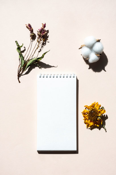 模拟空白的白色螺旋笔记本。文具静物和干花，从上面看。图片下载