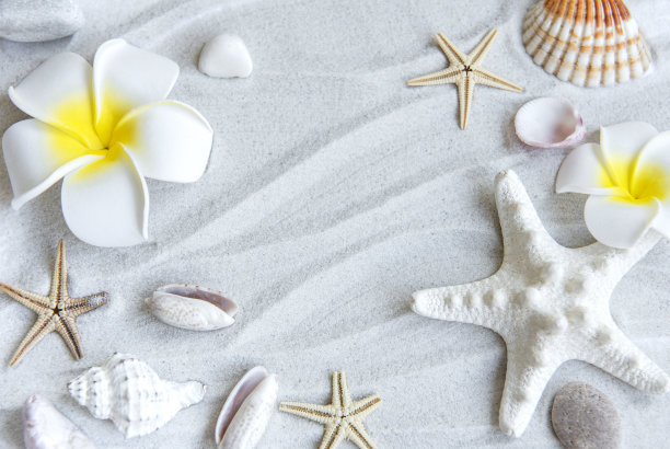 暑假的概念图片下载