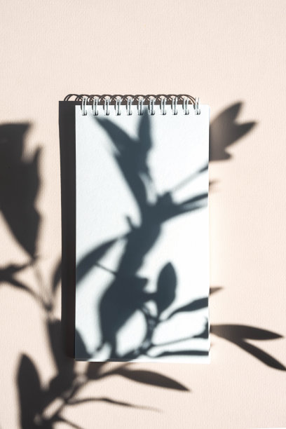 模拟空白的白色螺旋笔记本。文具静物与阴影从橄榄枝，从上面看。图片下载