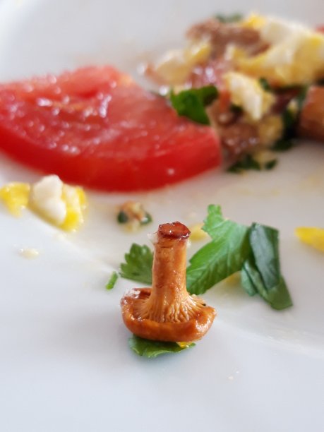 准备鸡油菌炒蛋图片下载