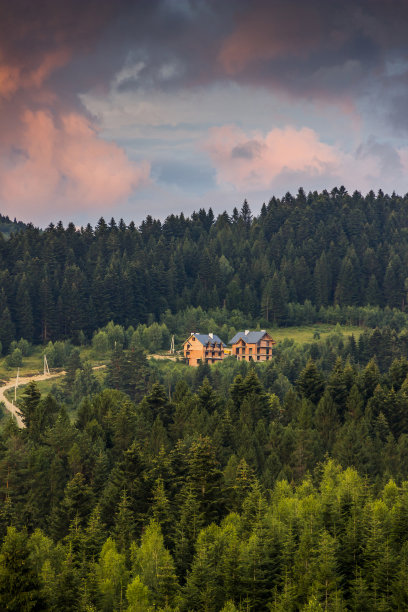 森林里未完工的房子图片下载