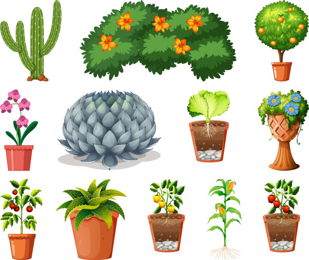 将不同的植物放在白色隔离的花盆中图片下载