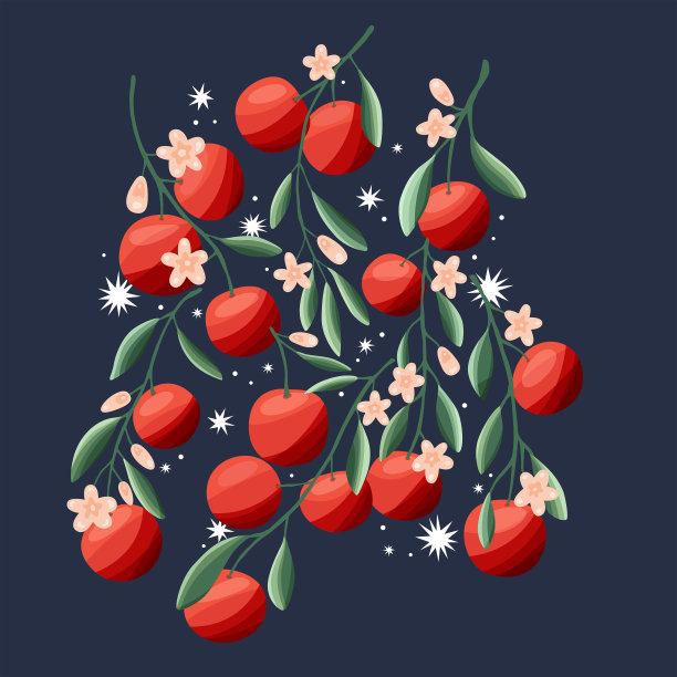 树枝上的橘子。夏季热带水果，在深蓝色背景上。抽象彩色手绘矢量插图。图片下载