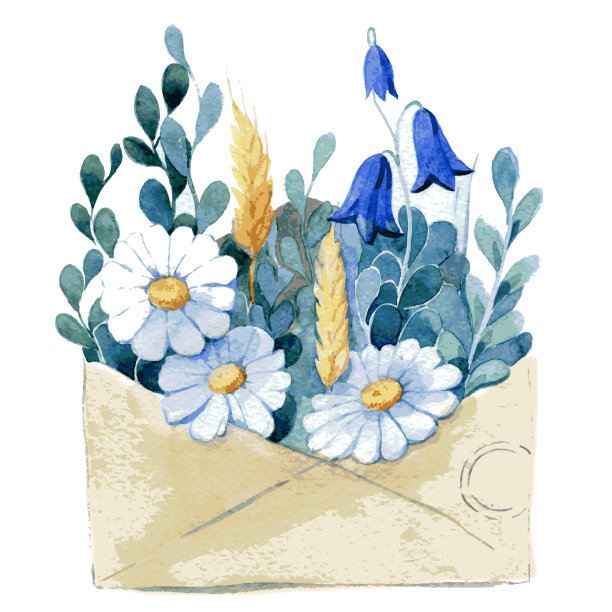 一个装着耳朵，雏菊和药草的纸信封。手绘水彩画插图孤立在白色的背景。向量图片下载