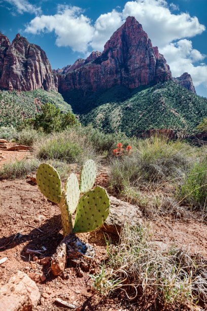 从锡安国家公园的守望者小径看美国亚利桑那州的守望者山图片下载