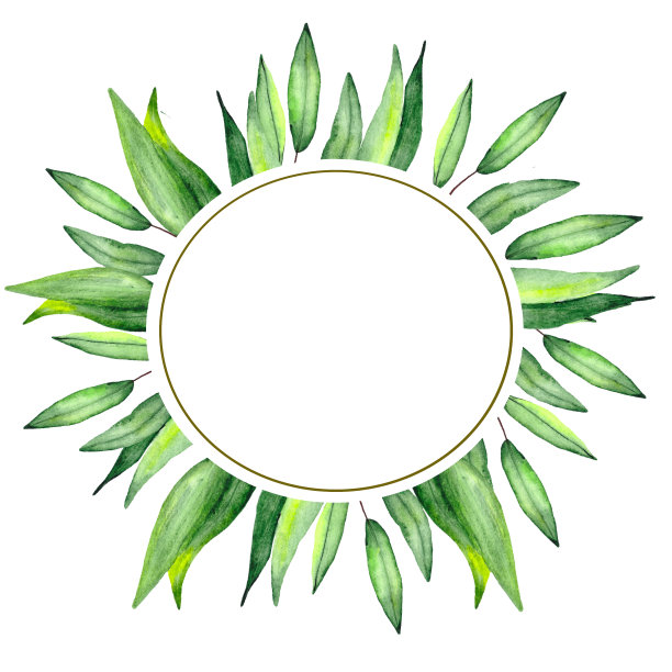 植物圆形框架与绿色叶子在白色背景与文字空间。以自然为主题的明信片水彩画和装饰。图片下载