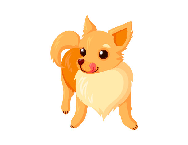 吉娃娃宠物与舌头顽皮的狗伴侣图片下载