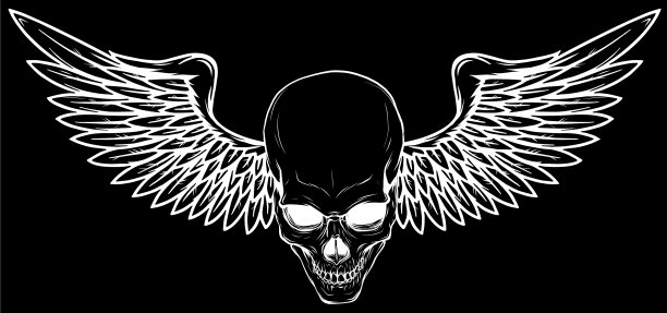 鸟翼头骨图片下载