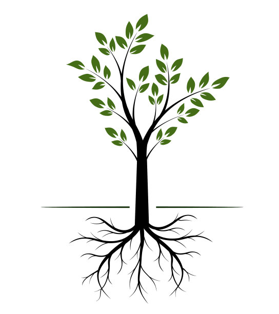 形状树与叶和根轮廓图片下载