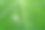 这是科洛卡西亚树叶上水滴的特写镜头。由于它的抗水性，水不会弄湿叶子，只停留在表面。图片下载