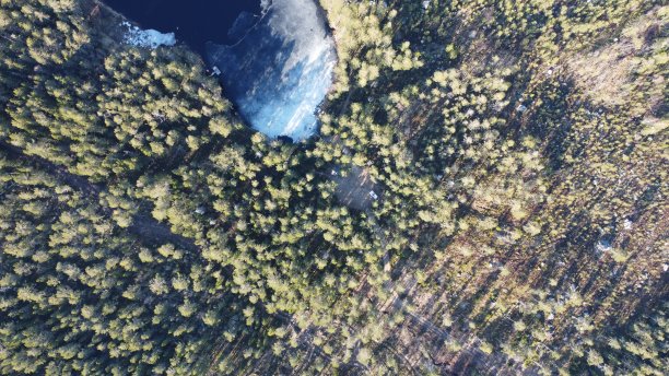 森林中部分结冰的湖泊图片下载