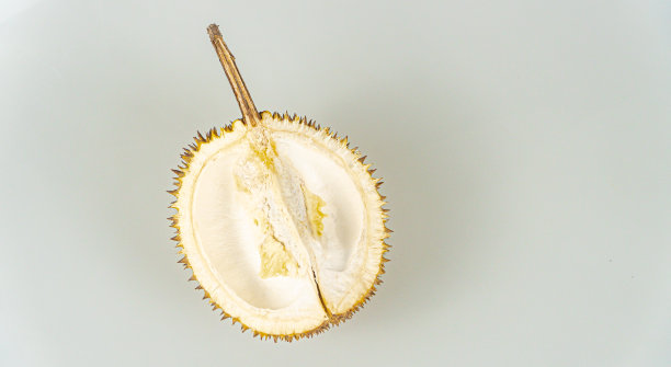 榴莲被称为“东南亚水果之王”。白色背景上的榴莲。图片下载