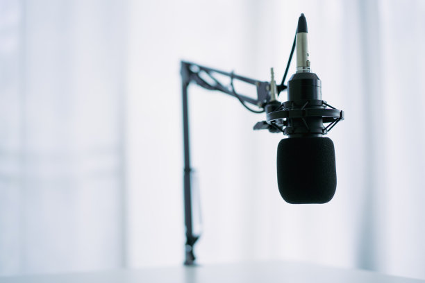 家庭演播室专业电容式麦克风。图片下载