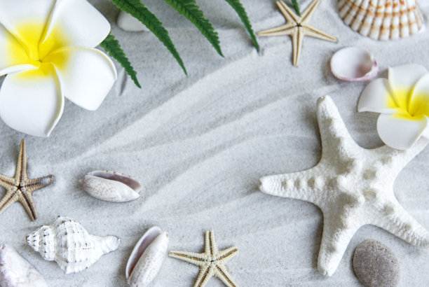 暑假的概念图片下载