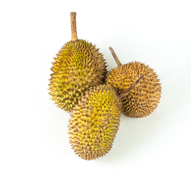 榴莲被称为“东南亚水果之王”。白色背景上的榴莲。图片下载